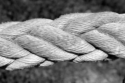 Cropped image of rope