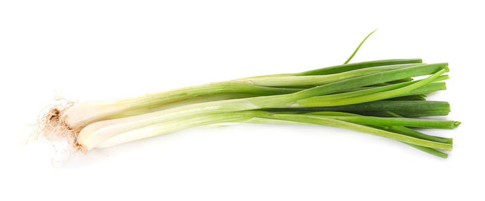 Close-up of leaf against white background