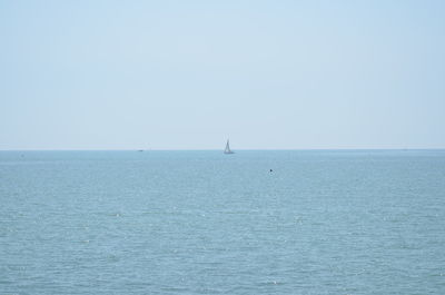 Sailboat sailing in sea against clear sky