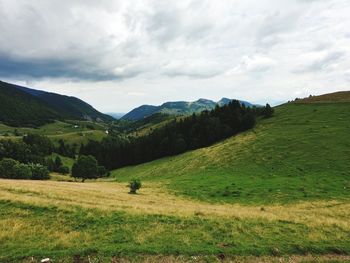 Scenic view of landscape against sky