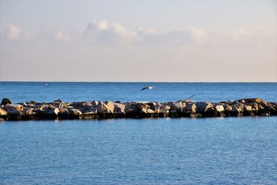 Scenic view of sea against sky