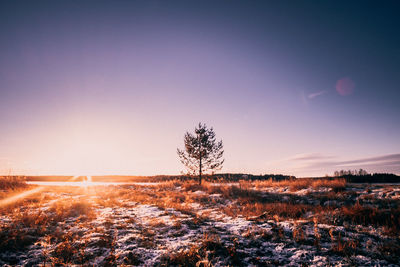 Scenic view of field against sky during sunset