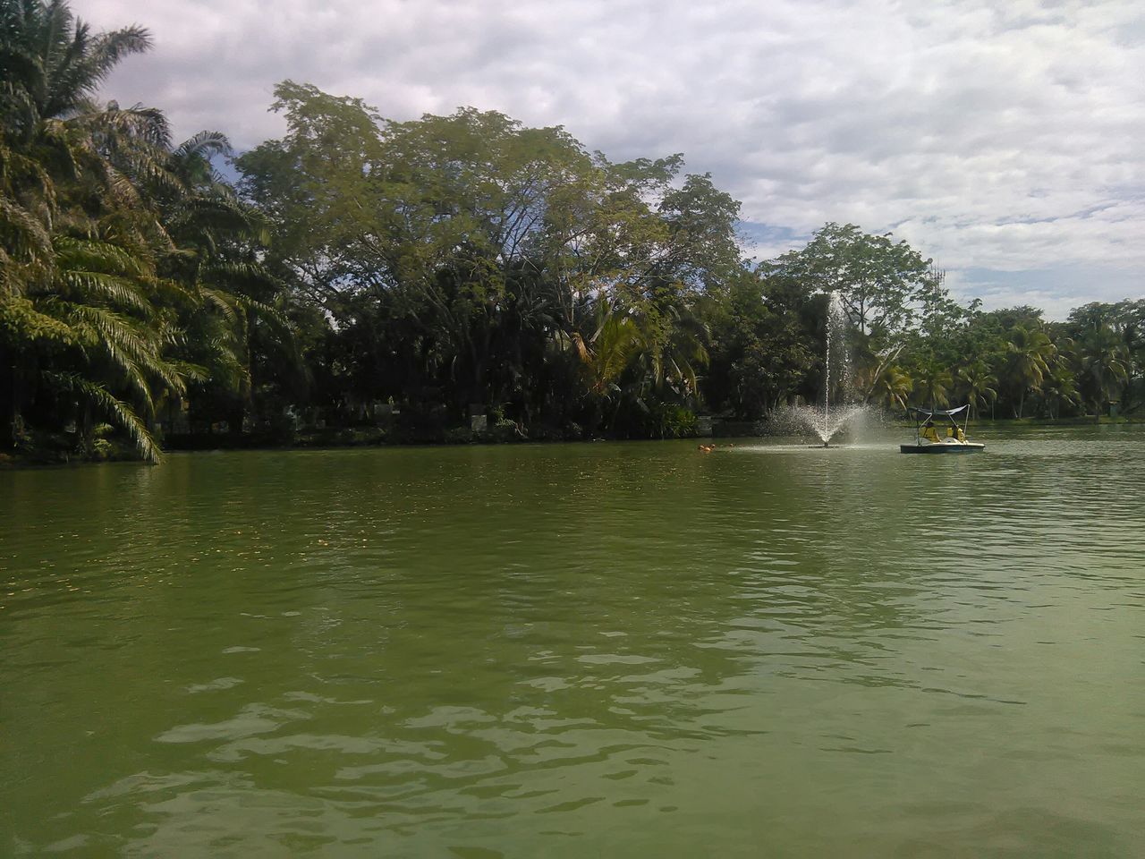 water, tree, sky, waterfront, lake, cloud - sky, tranquility, tranquil scene, scenics, beauty in nature, rippled, nature, cloud, cloudy, reflection, river, day, idyllic, outdoors, growth