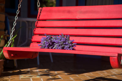 Close-up of red flower on table