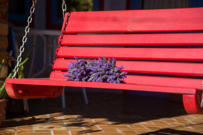 Close-up of red flower on a red bench