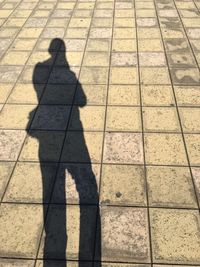 Shadow of woman on footpath