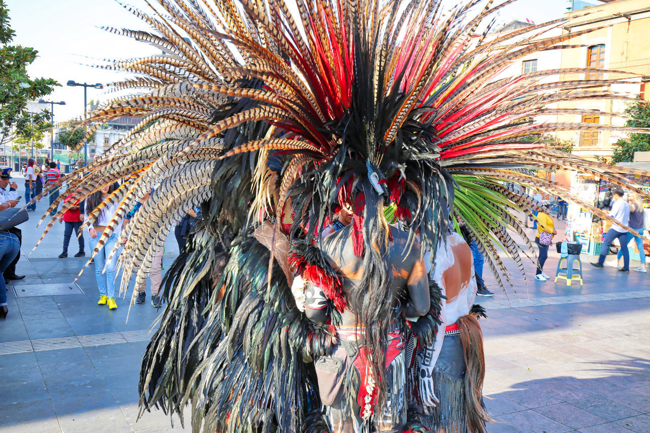 PALM TREE IN STREET