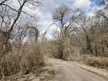 Road amidst trees against sky