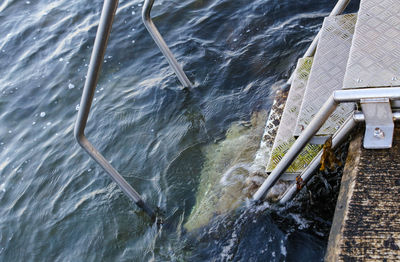 High angle view of boat sailing in river