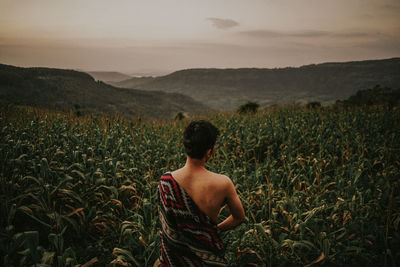 Rear view of man looking at field