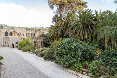 People walking on road along plants and trees in city