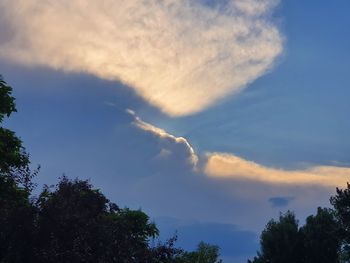 Low angle view of trees against sky during sunset