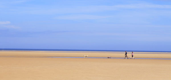 Mid distance view of couple with dogs walking at beach against blue sky