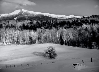 Scenic view of snow covered field against sky