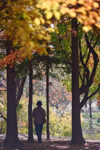 A photographer standing in autumn woods