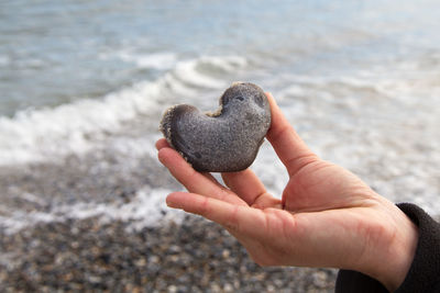 Close-up of hand holding seashells on beach