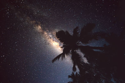 Low angle view of christmas tree against sky at night