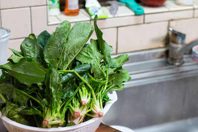 Close-up of vegetables in kitchen