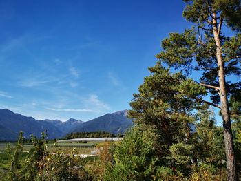 Scenic view of mountains against blue sky