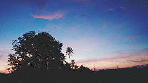 Low angle view of silhouette trees against sky at sunset