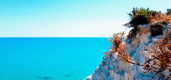 Scenic view of sea against clear blue sky