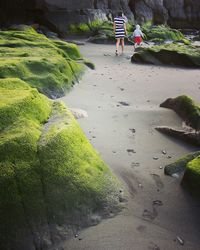 Shadow of woman on road