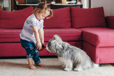 Toddler baby girl feeding pet dog with treat food. relationship of kid and domestic animals