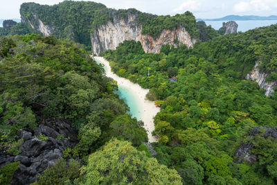 Scenic view of waterfall