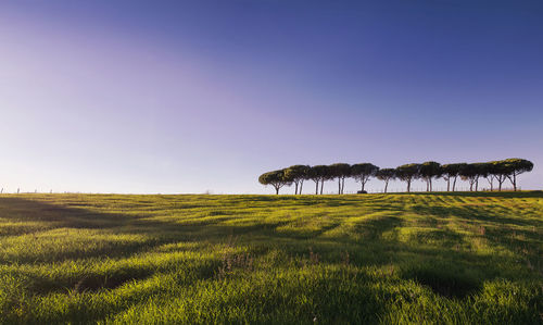Scenic view of land against clear sky