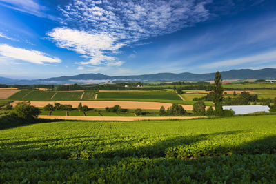 Beautiful rural scenery in biei , hill town