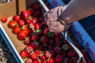 High angle view of cropped hand holding crate with strawberries