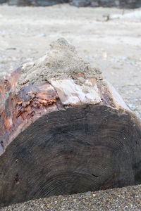 Close-up of rocks on shore