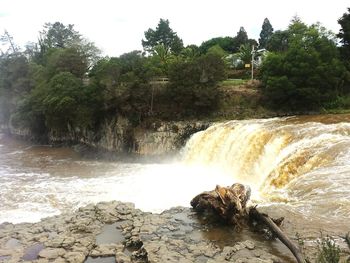 Scenic view of waterfall