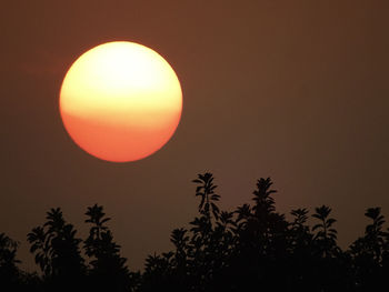 Low angle view of silhouette trees against orange sky
