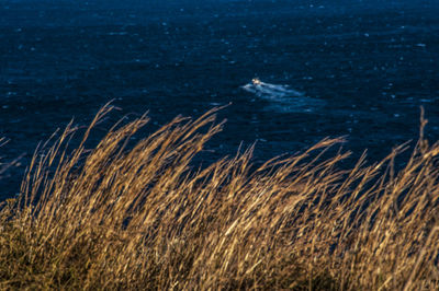 Scenic view of sea