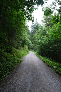 Road amidst trees in forest