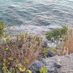 High angle view of rocks on sea shore