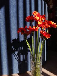 Close-up of red flowers in vase