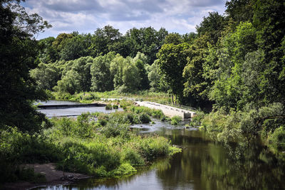 Scenic view of lake in forest against sky