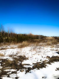 Scenic view of snowy field against clear blue sky