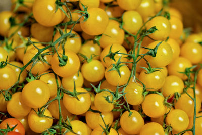 Fresh yellow tomatoes at food market