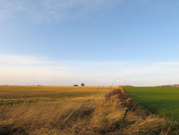 Scenic view of grassy field against sky