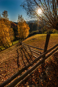 Trees on field against sky during autumn