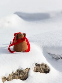 Snow covered rocks on land