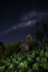 Barn amidst plants against sky at night