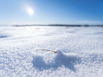 Snow on land during sunny day