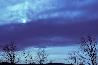 Low angle view of silhouette trees against sky