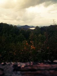 Scenic view of mountains against cloudy sky