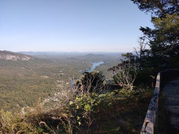 High angle view of trees on landscape against clear sky
