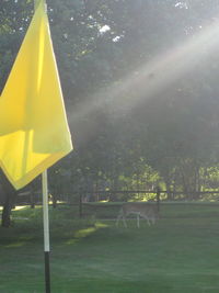 Yellow horse in park